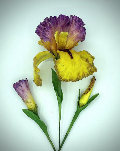 Bearded Iris Cutters-Cutters-seb3dcustomdesigns