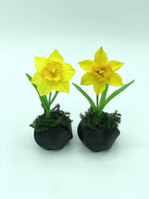 Charger l&#39;image dans la galerie, Daffodil Cutter Sets-Cutters-seb3dcustomdesigns
