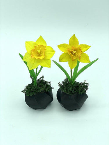 Daffodil Cutter Sets-Cutters-seb3dcustomdesigns