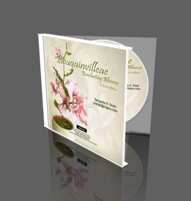 Bougainvillea Plant - DVD #1-seb3dcustomdesigns